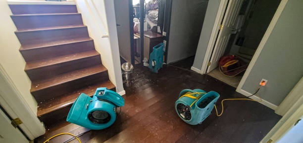 Best Mold removal after water damage  in Como, MS