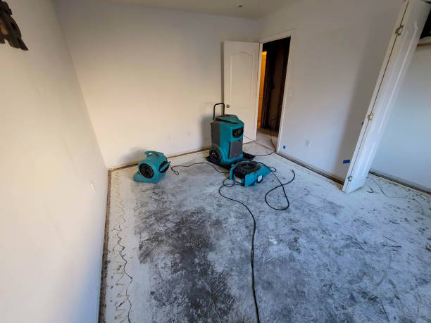Best 24-hour water damage restoration  in Como, MS