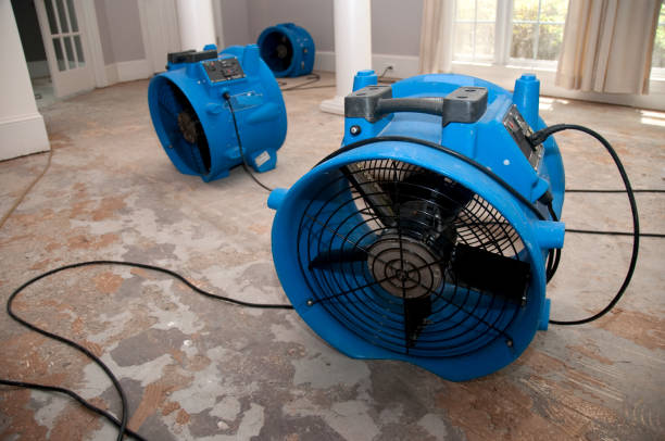 Best 24/7 water damage repair  in Como, MS
