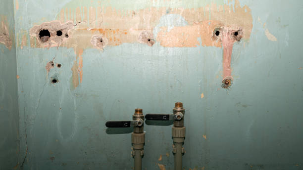 Best Basement water damage restoration  in Como, MS