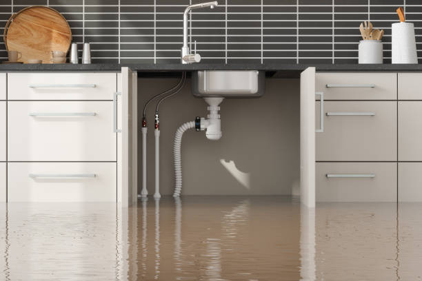 Best Water damage restoration near me  in Como, MS